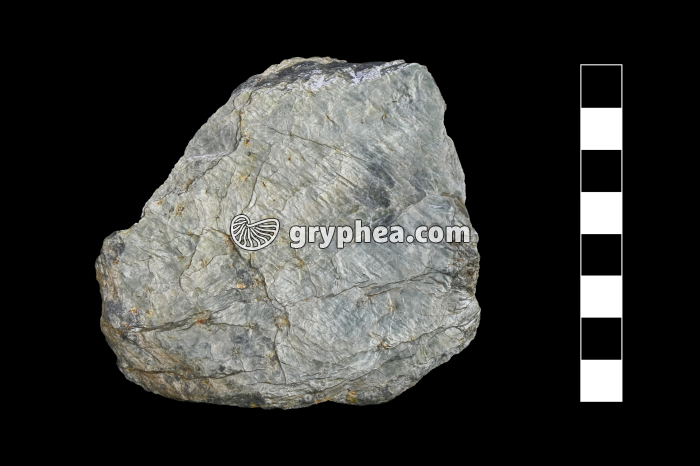 Schiste métamorphique à séricite - échantillon (Zermatt, Suisse) - gryphea.com